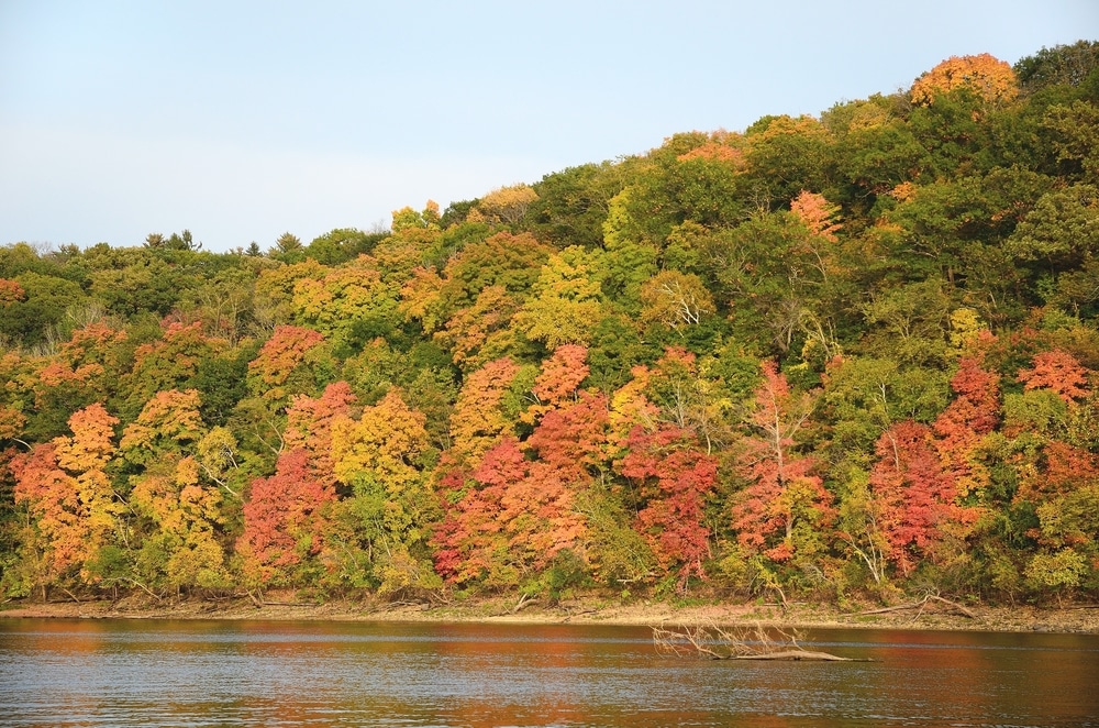 Fall Colors along the St Croix River. Taking a cruise along the river is one of the best things to do in Stillwater MN.